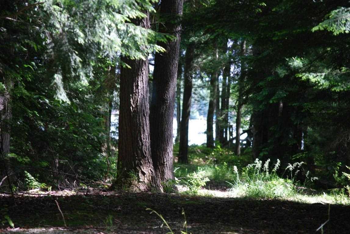 Lot 3 Leeward Drive Petoskey MI 49770