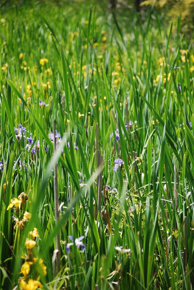 Lot 3 Leeward Drive Petoskey MI 49770