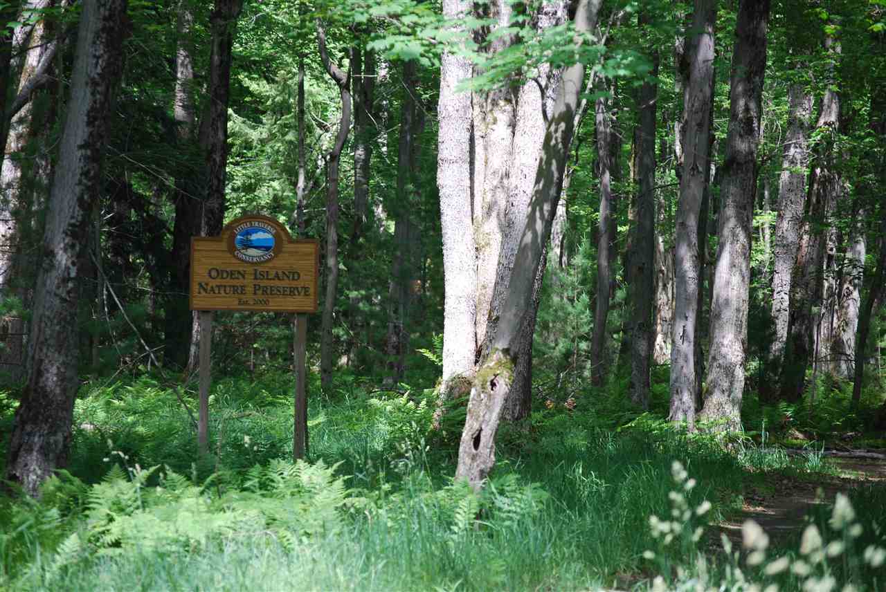 Lot 3 Leeward Drive Petoskey MI 49770