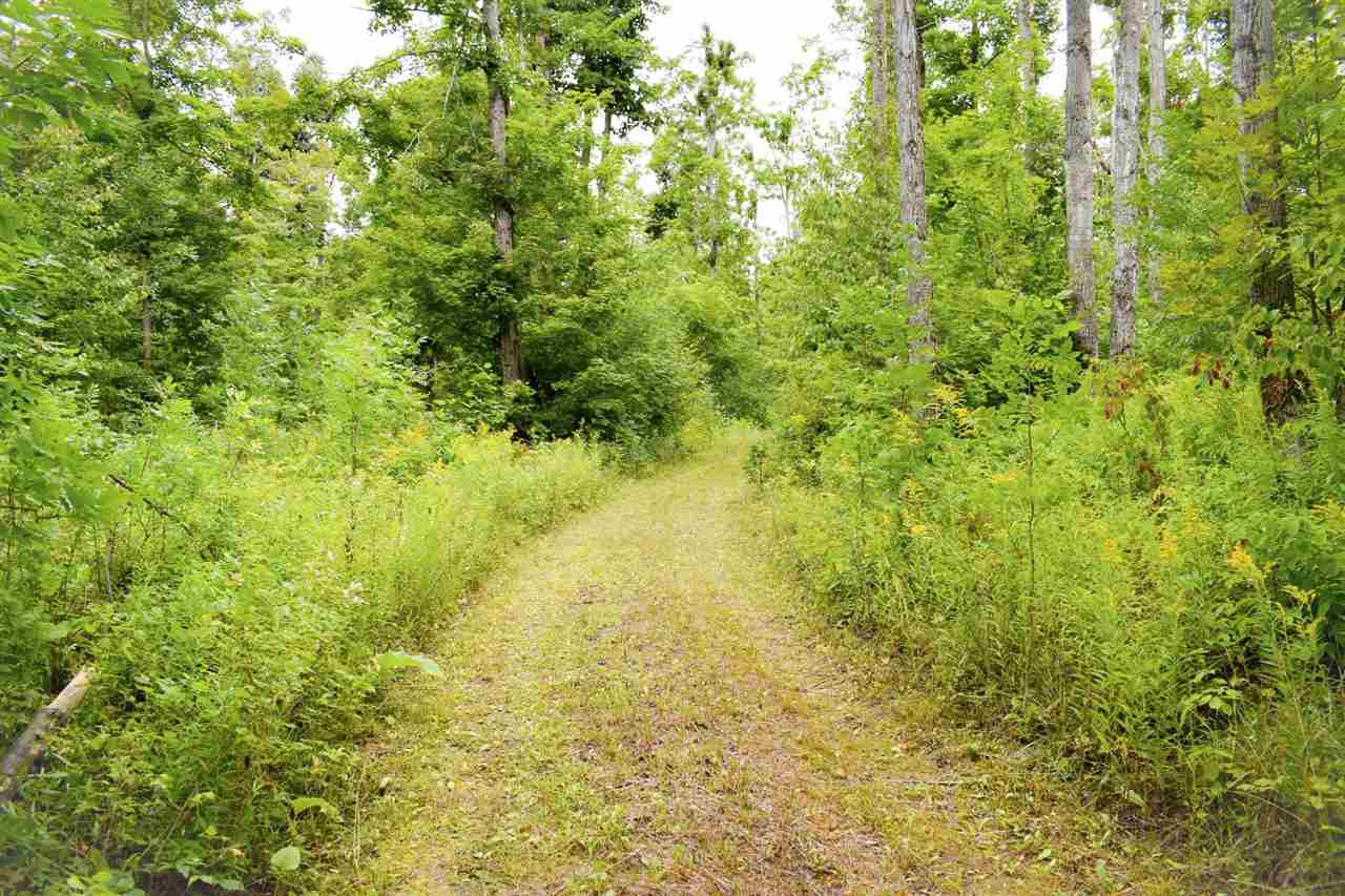 Tbd Kuzmik Road Boyne Falls MI 49713