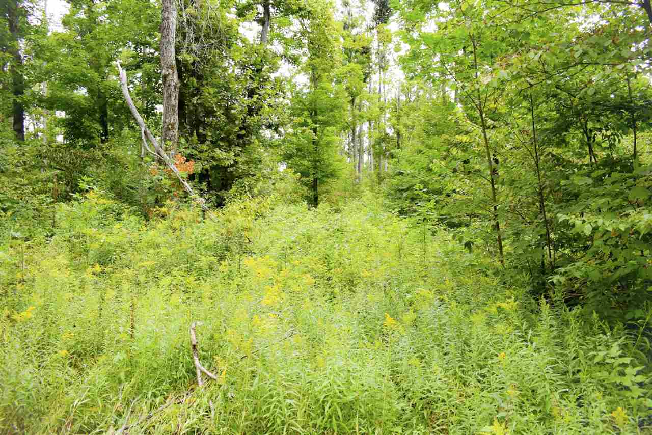 Tbd Kuzmik Road Boyne Falls MI 49713
