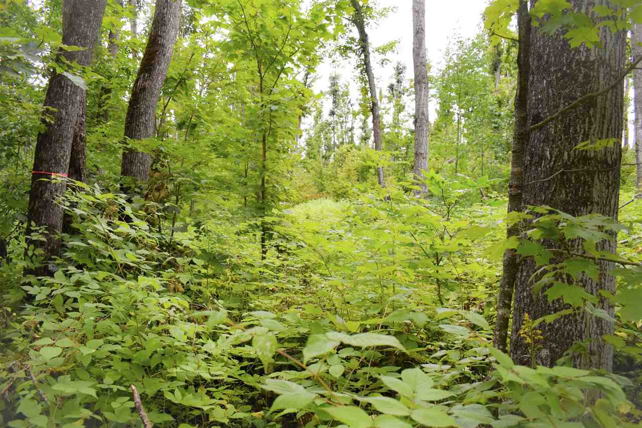 Tbd Kuzmik Road Boyne Falls MI 49713