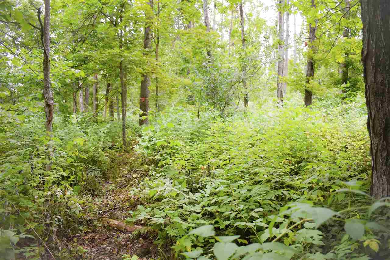 Tbd Kuzmik Road Boyne Falls MI 49713