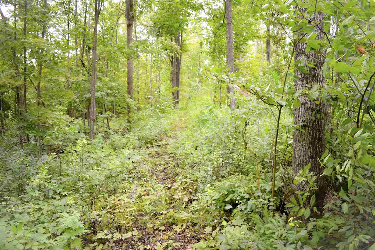 Tbd Kuzmik Road Boyne Falls MI 49713