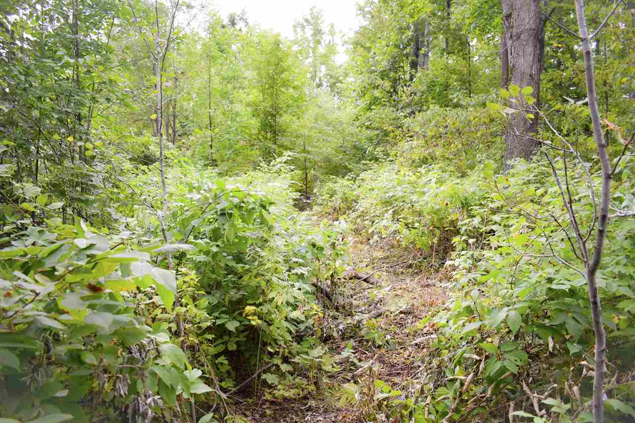 Tbd Kuzmik Road Boyne Falls MI 49713