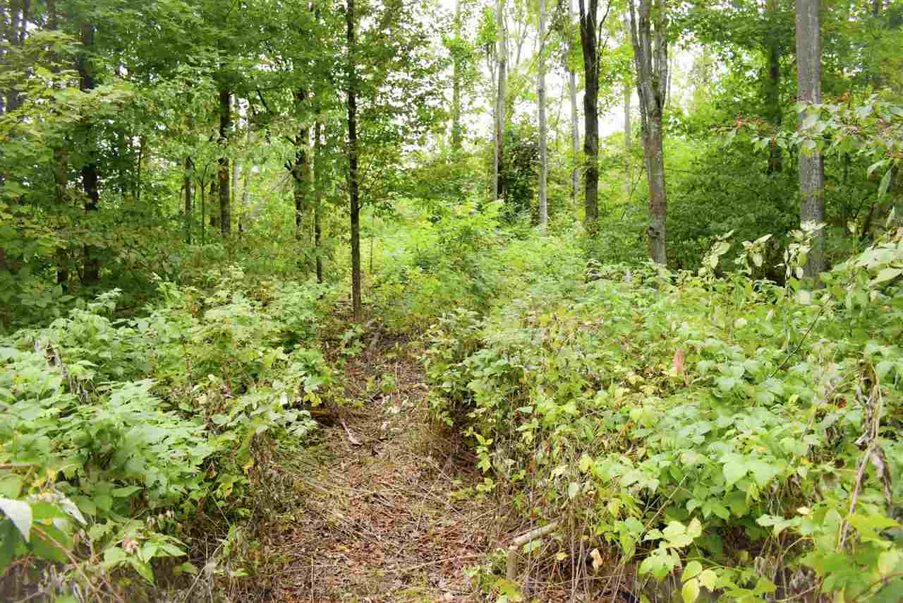 Tbd Kuzmik Road Boyne Falls MI 49713