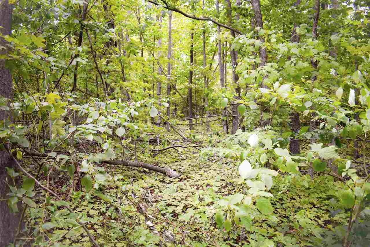 Tbd Kuzmik Road Boyne Falls MI 49713