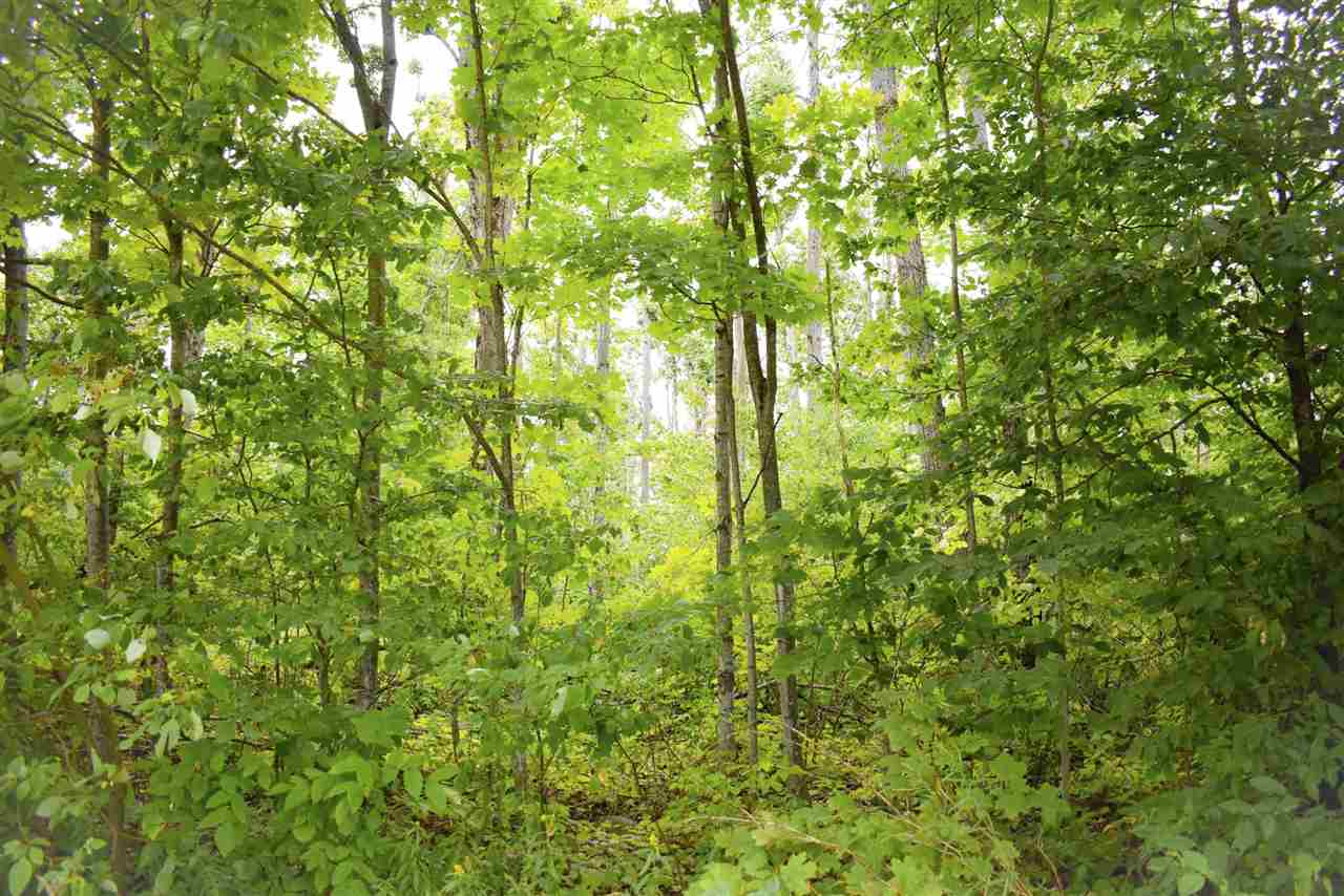 Tbd Kuzmik Road Boyne Falls MI 49713