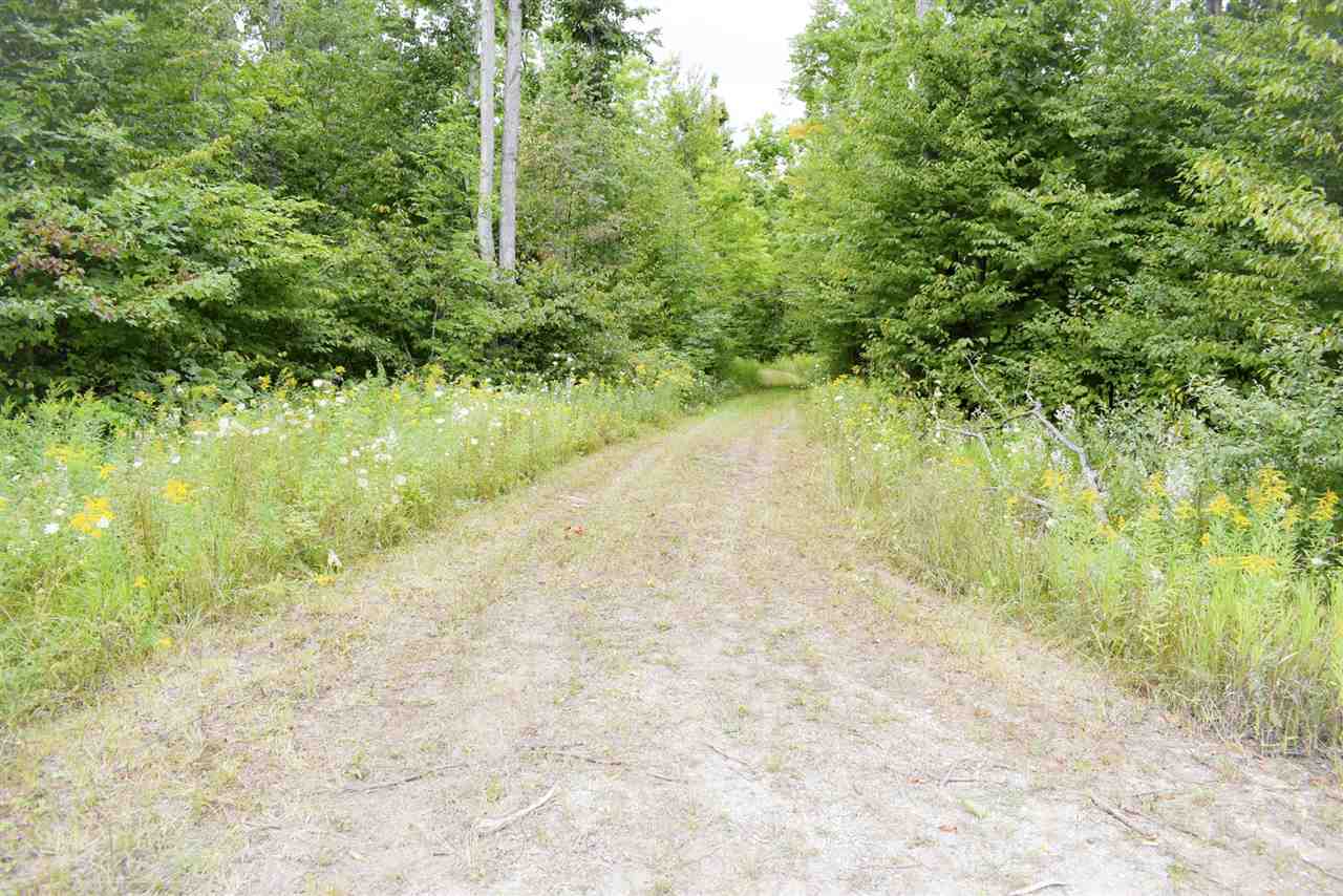 Tbd Kuzmik Road Boyne Falls MI 49713