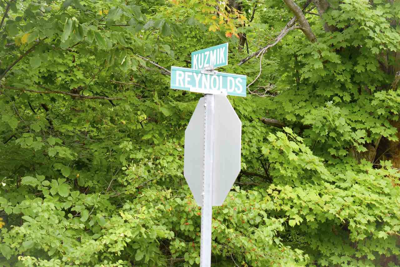 Tbd Kuzmik Road Boyne Falls MI 49713