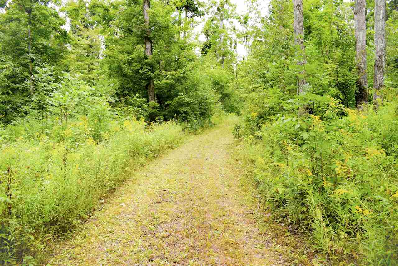 Tbd Kuzmik Road Boyne Falls MI 49713