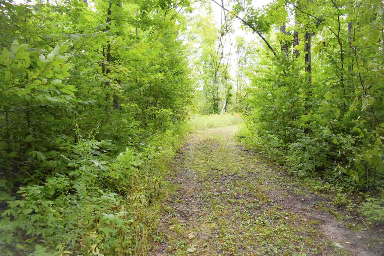 Tbd Kuzmik Road Boyne Falls MI 49713