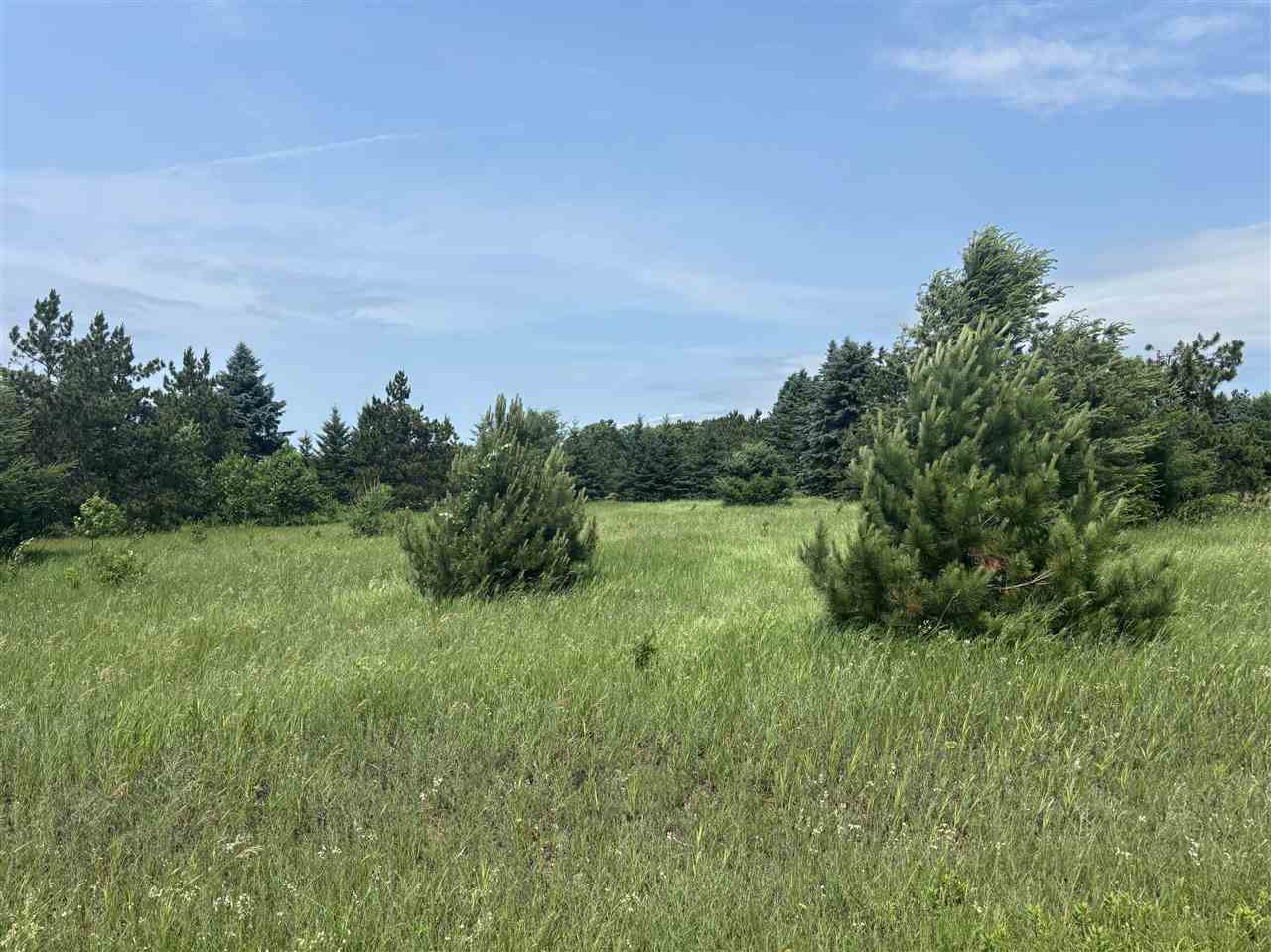 110 Pleasant Valley Drive Harbor Springs MI 49740