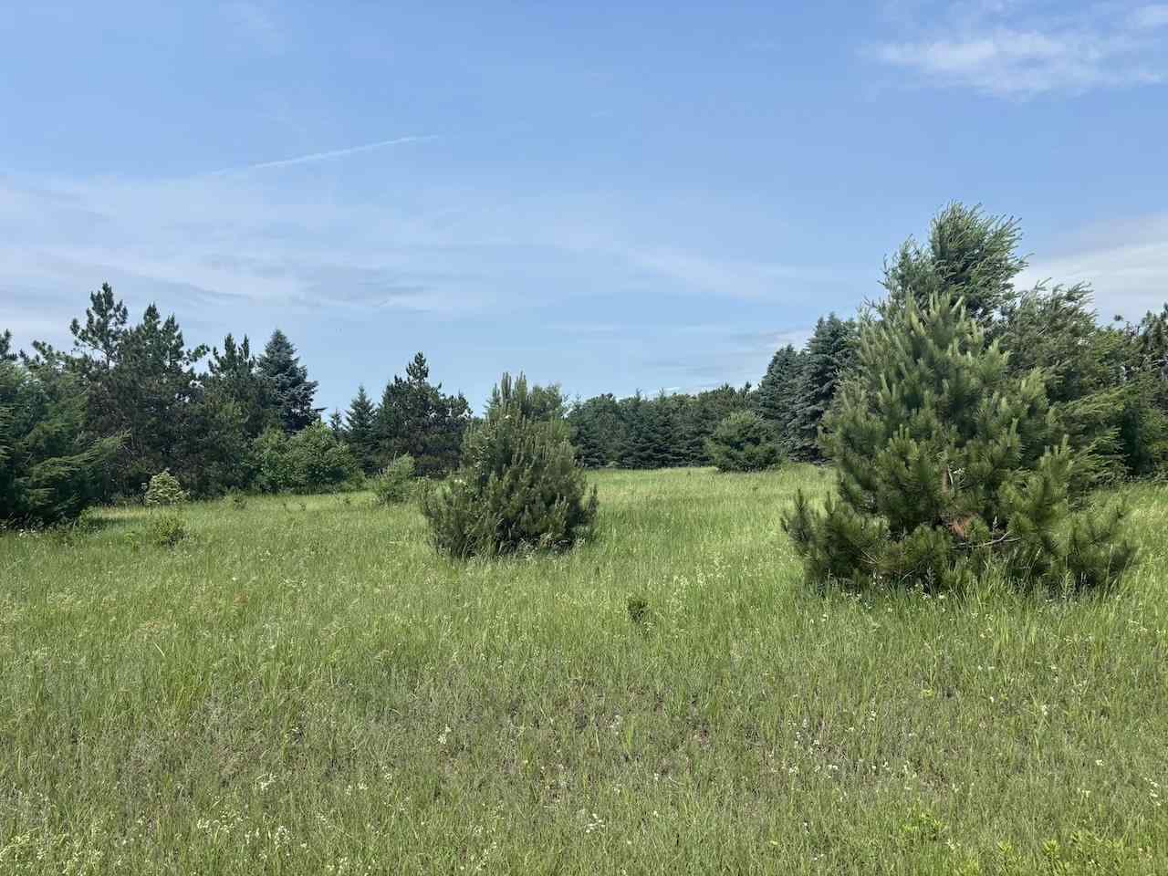 110 Pleasant Valley Drive Harbor Springs MI 49740