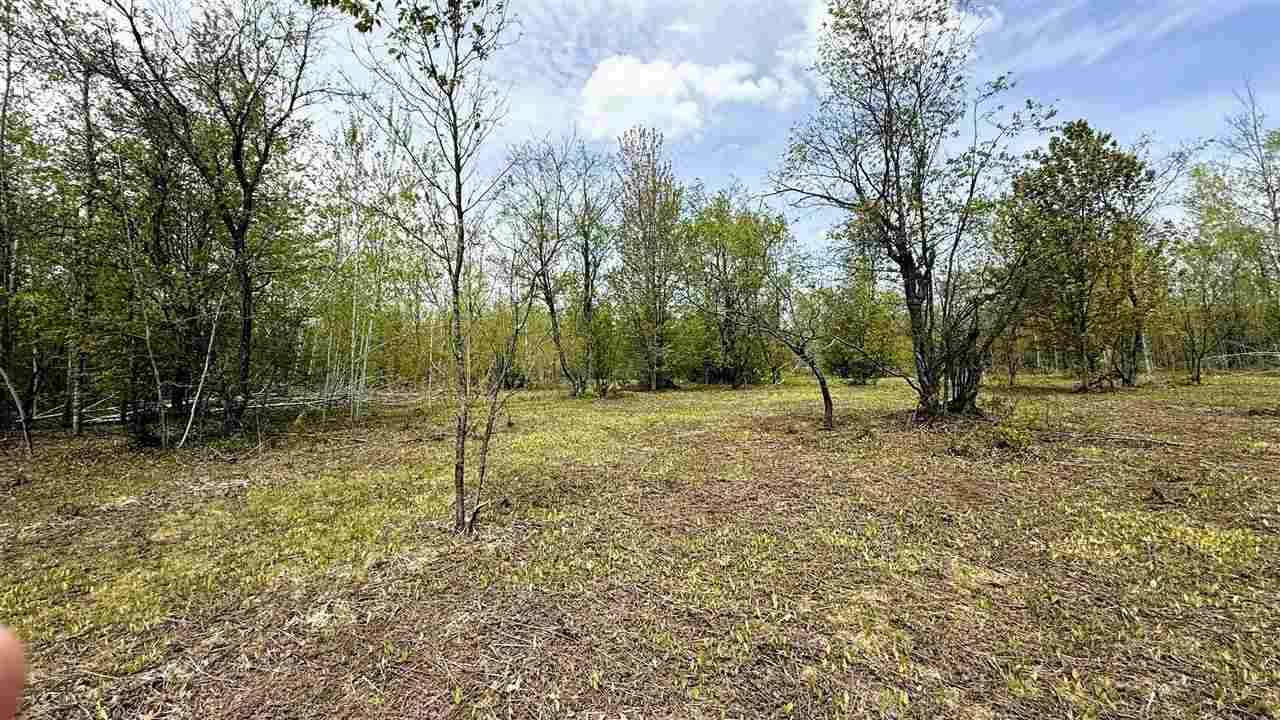 Lot 50 Breezewood Drive Mancelona MI 49659