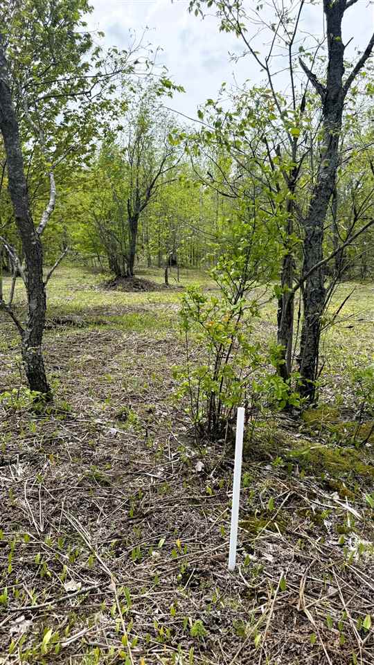 Lot 50 Breezewood Drive Mancelona MI 49659