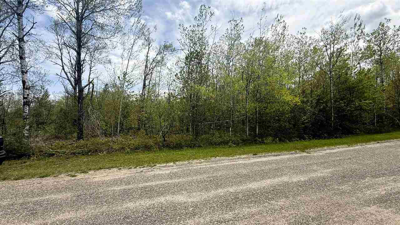 Lot 50 Breezewood Drive Mancelona MI 49659