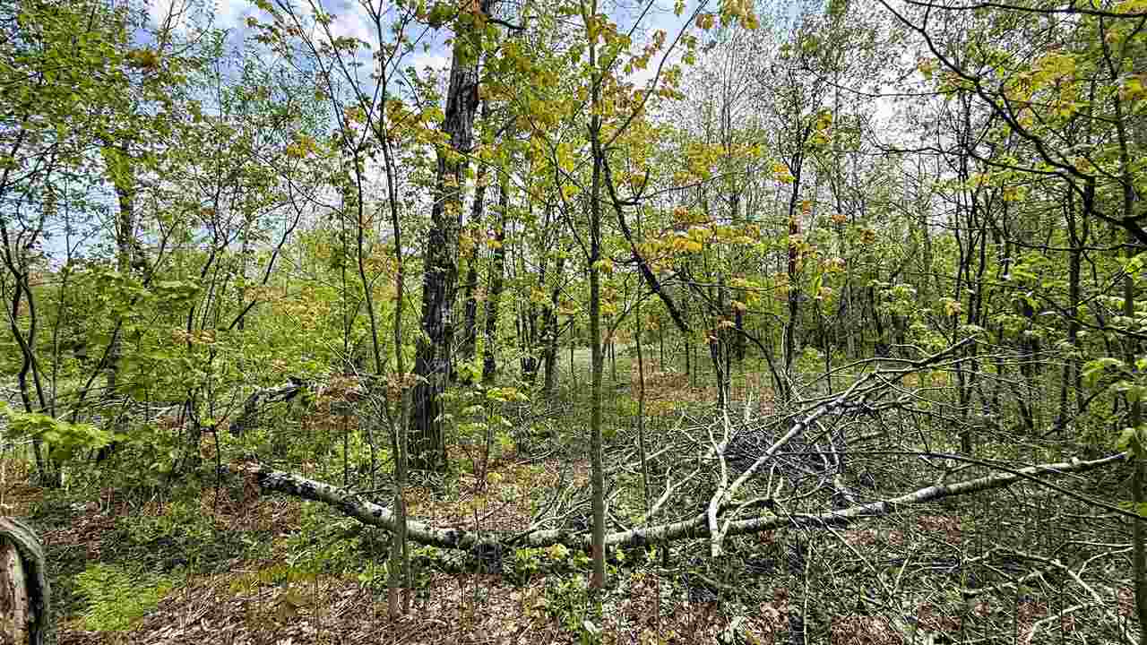 Lot 50 Breezewood Drive Mancelona MI 49659