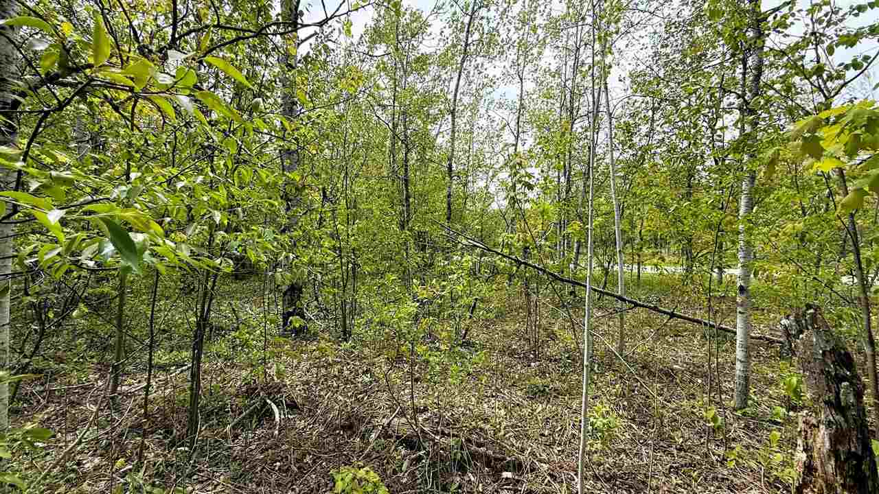 Lot 50 Breezewood Drive Mancelona MI 49659