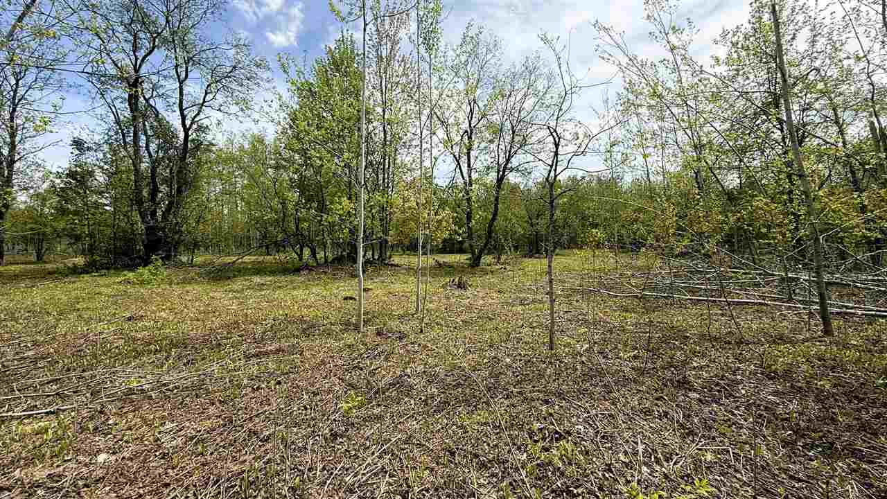 Lot 50 Breezewood Drive Mancelona MI 49659