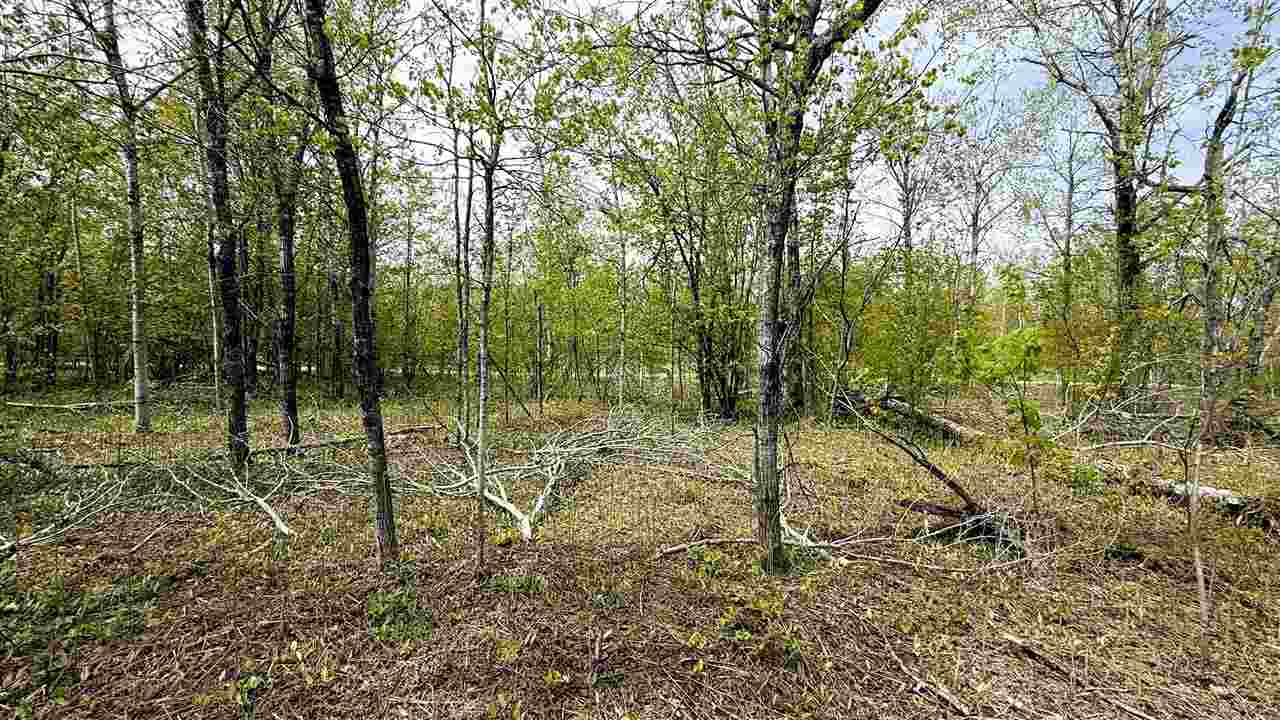 Lot 50 Breezewood Drive Mancelona MI 49659