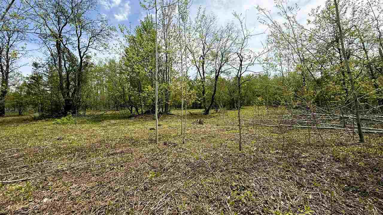Lot 50 Breezewood Drive Mancelona MI 49659