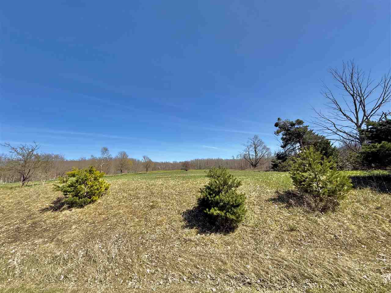 240 Crooked Tree Drive Petoskey MI 49770