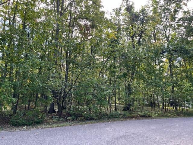 37 Royalview Road Harbor Springs MI 49740