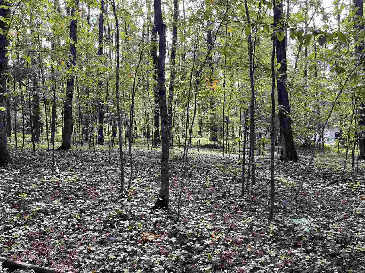 37 Royalview Road Harbor Springs MI 49740