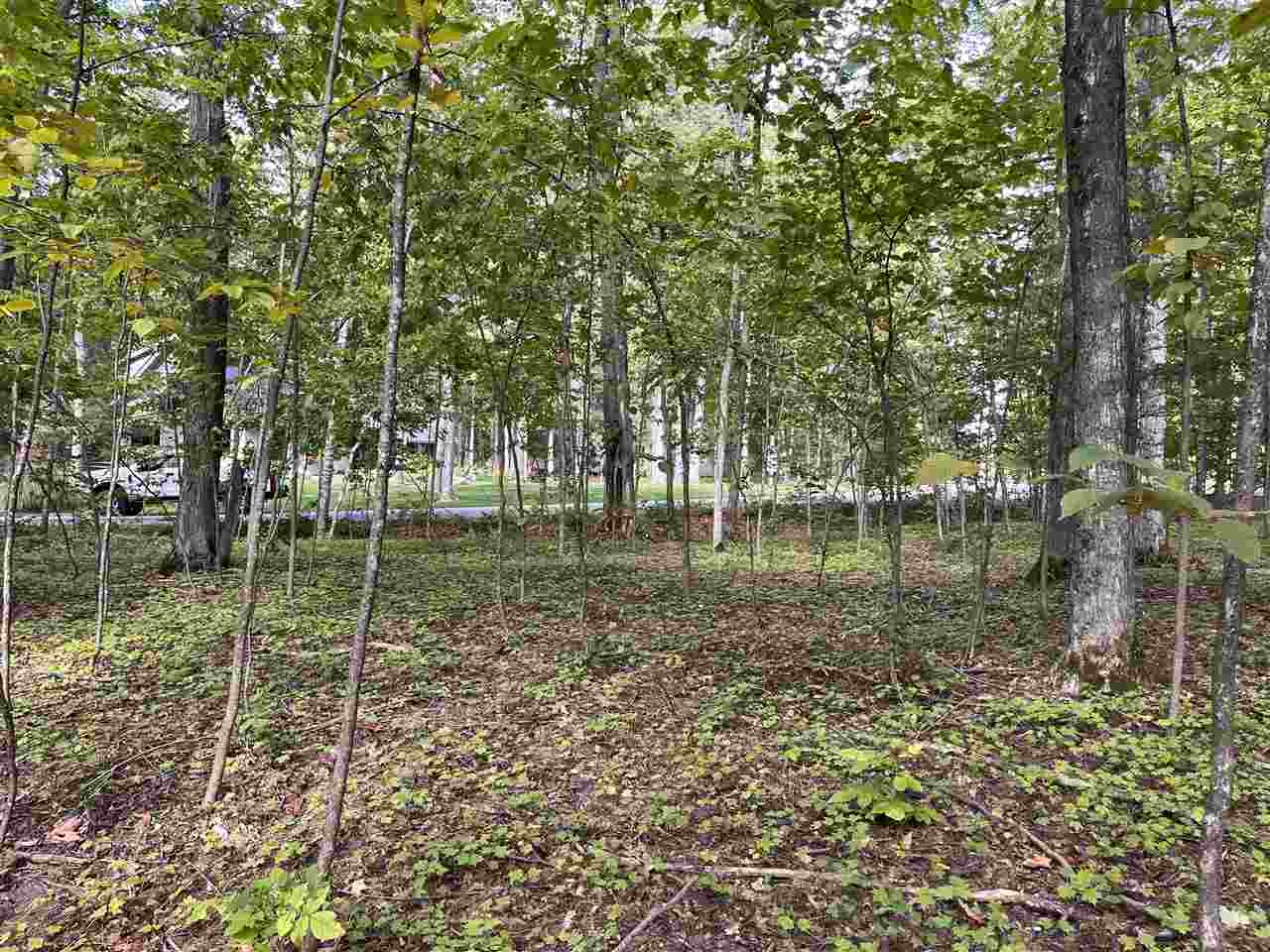 37 Royalview Road Harbor Springs MI 49740