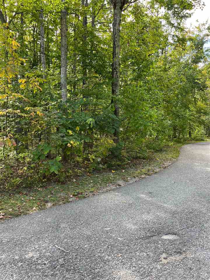 37 Royalview Road Harbor Springs MI 49740