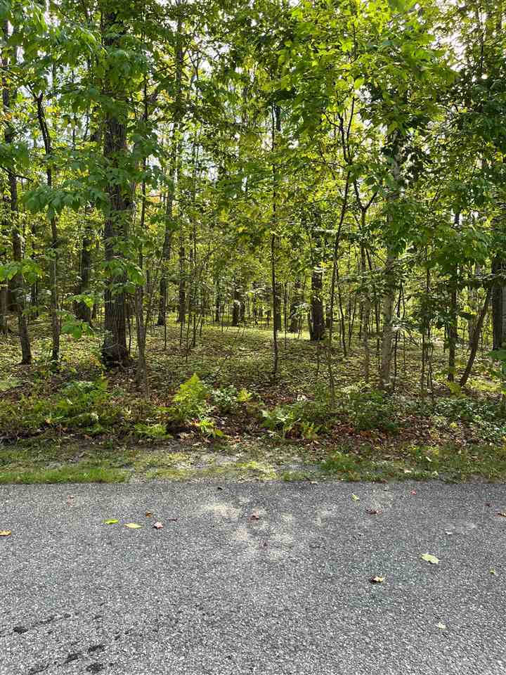 37 Royalview Road Harbor Springs MI 49740