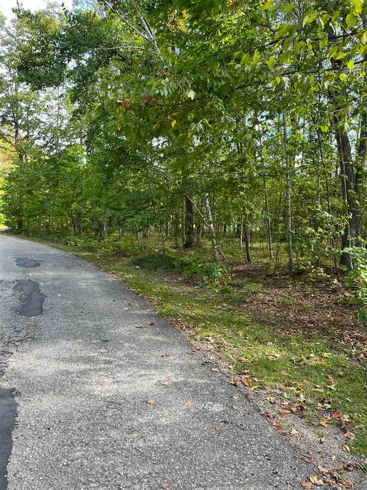 37 Royalview Road Harbor Springs MI 49740