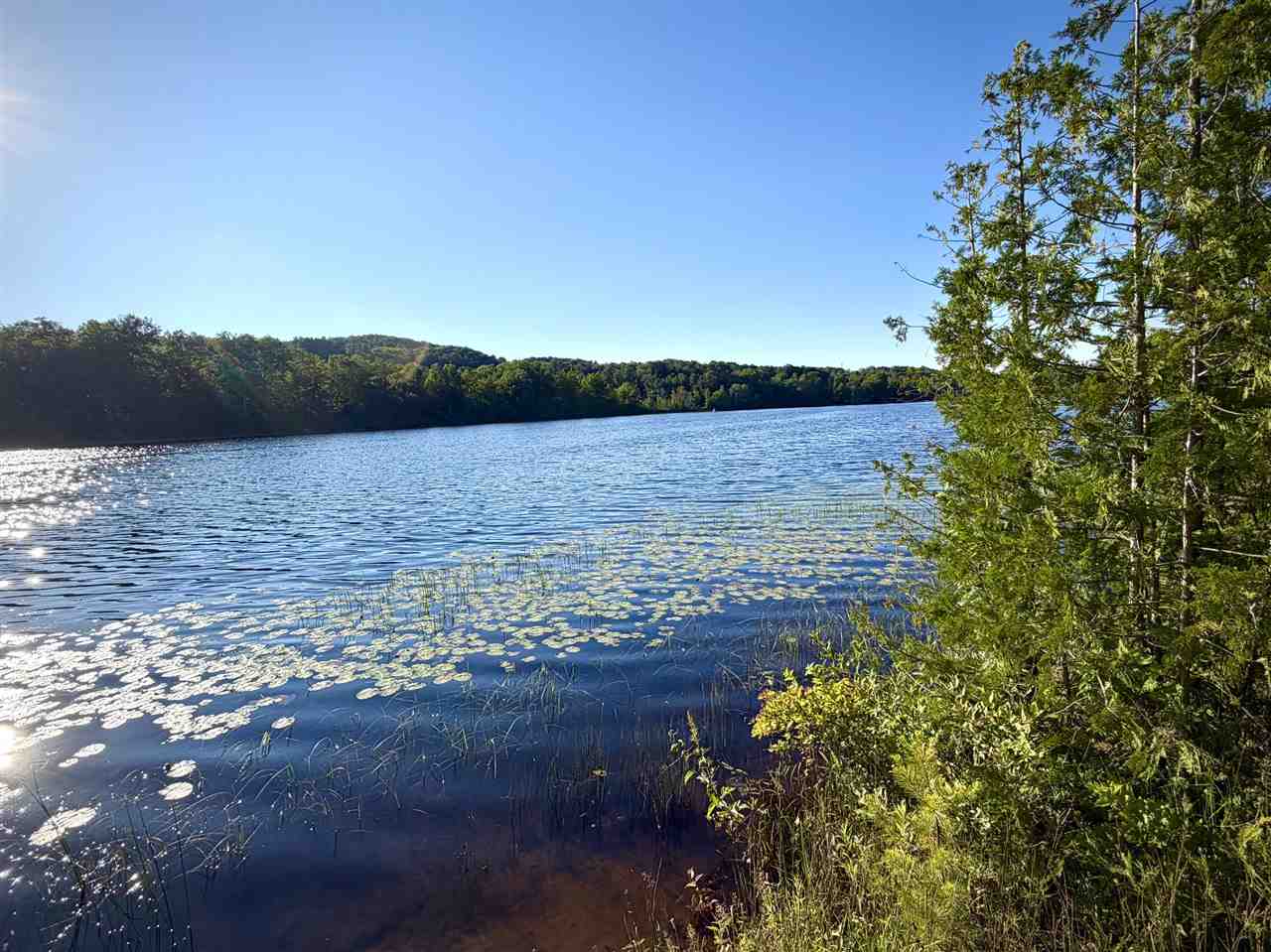7932 Rushton Road Ellsworth MI 49729