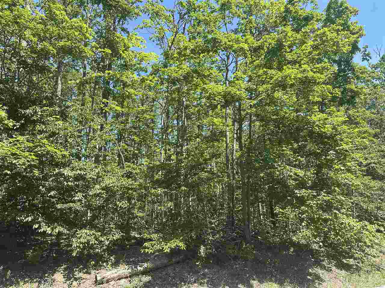 1428 Andover Club Harbor Springs MI 49740