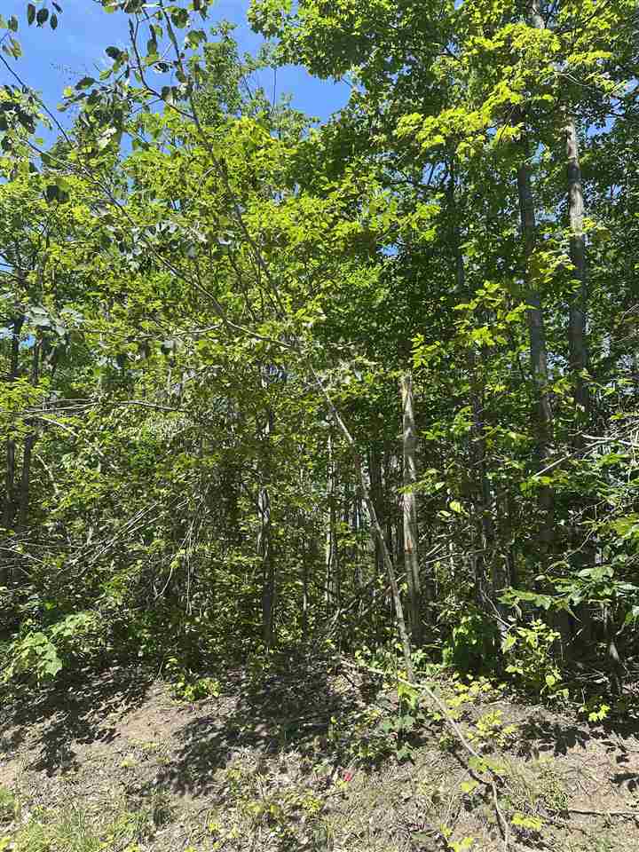 1428 Andover Club Harbor Springs MI 49740