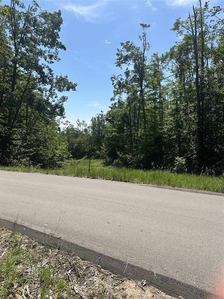 1428 Andover Club Harbor Springs MI 49740