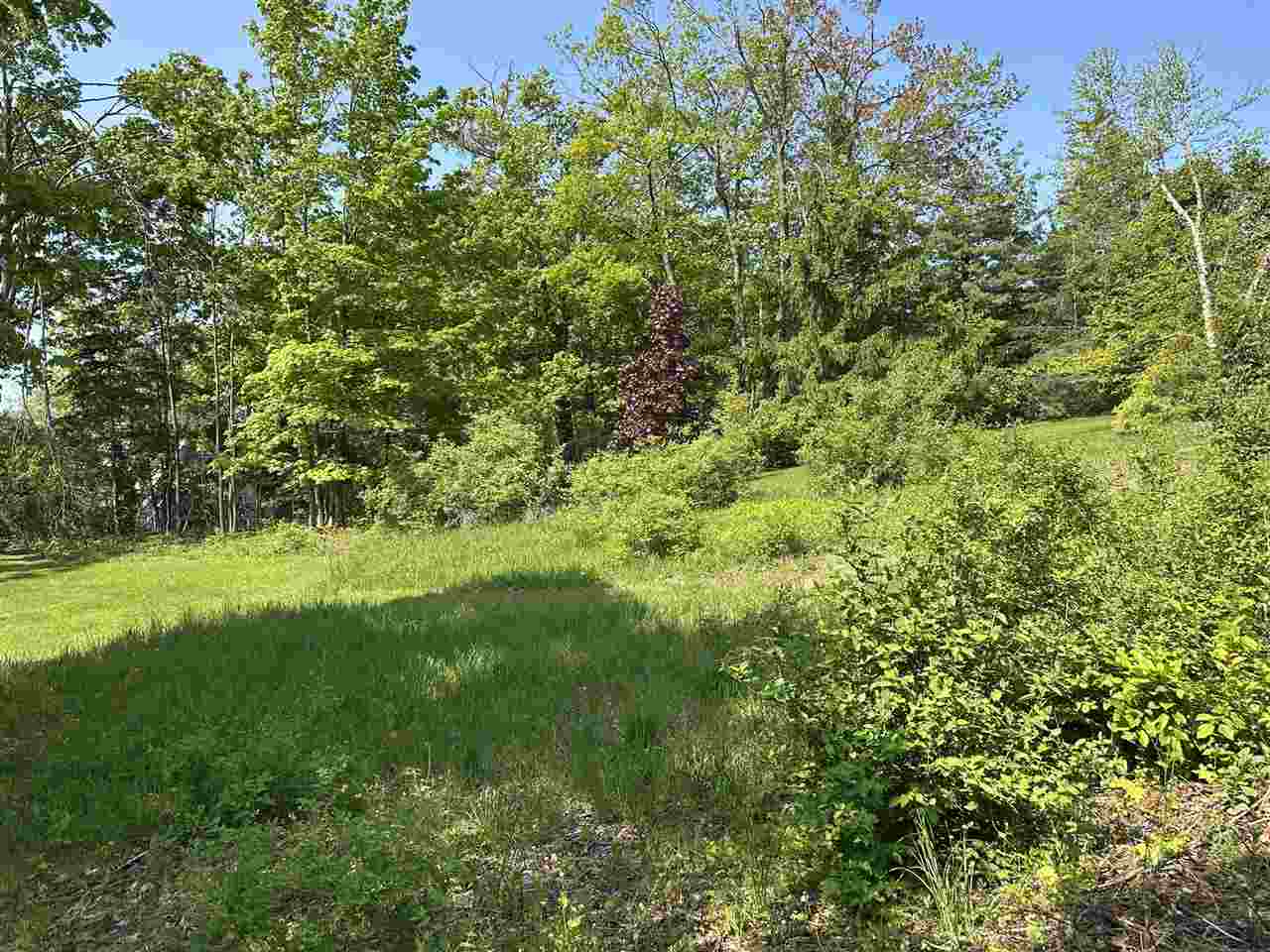 443 W Summit Street Harbor Springs MI 49740