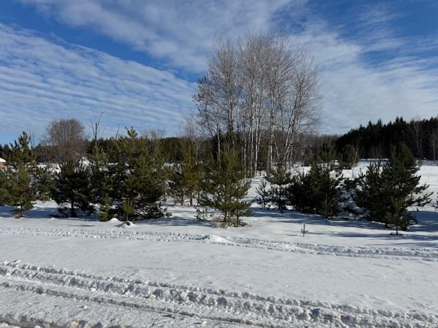 Tbd S Us 131 Boyne Falls MI 49713