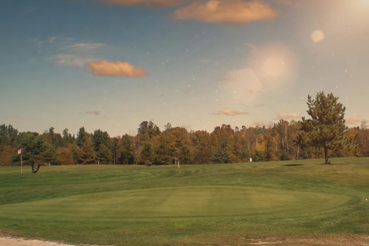 15281 Golfcrest Drive Wolverine MI 49799