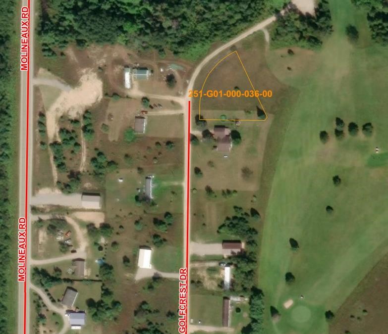 15281 Golfcrest Drive Wolverine MI 49799