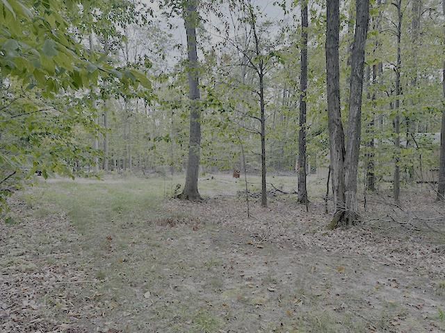 7650 Blackwood Court Harbor Springs MI 49740