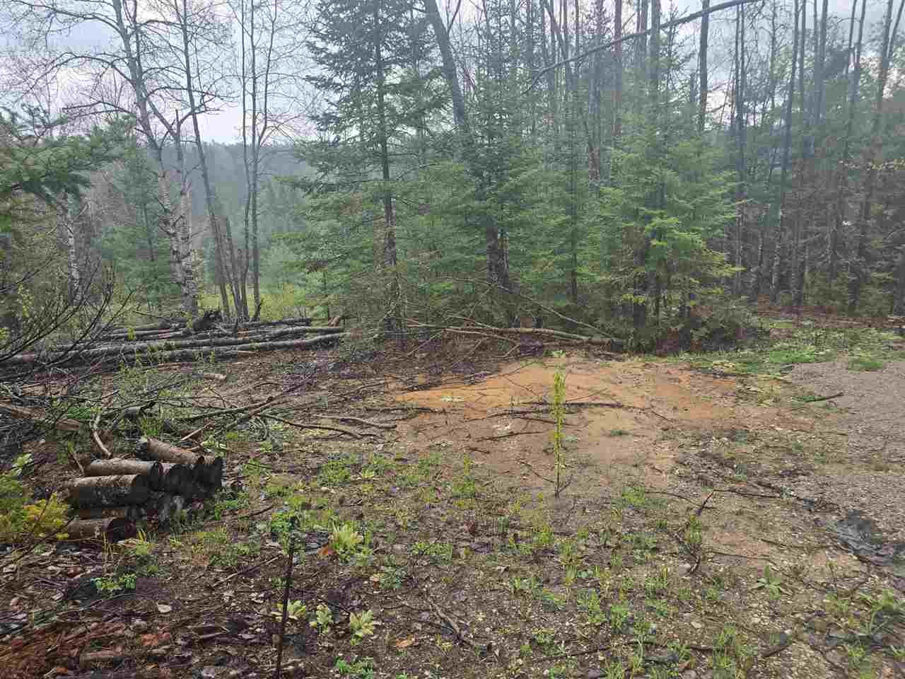 14453 W Shoreline Drive Wolverine MI 49799
