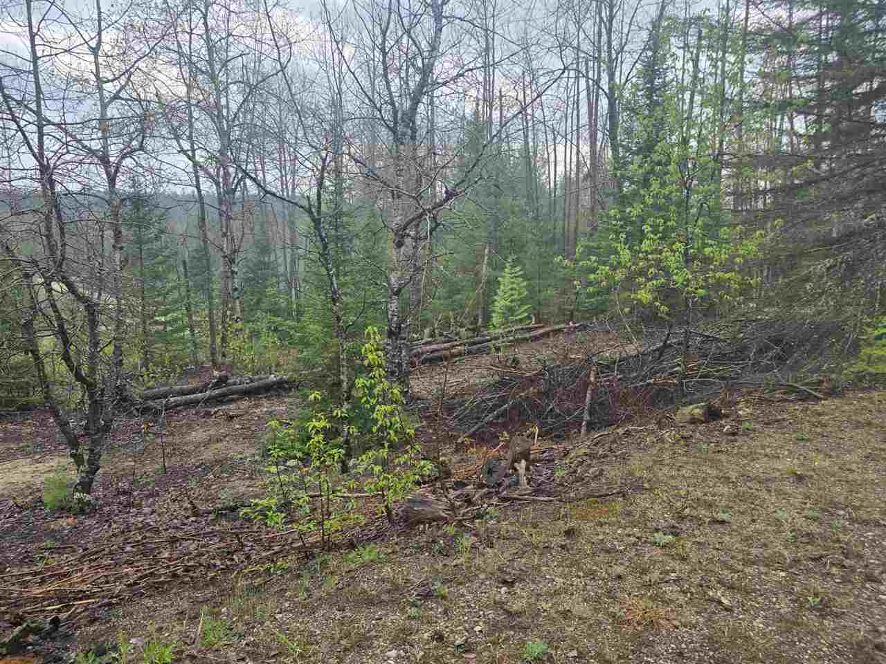 14453 W Shoreline Drive Wolverine MI 49799