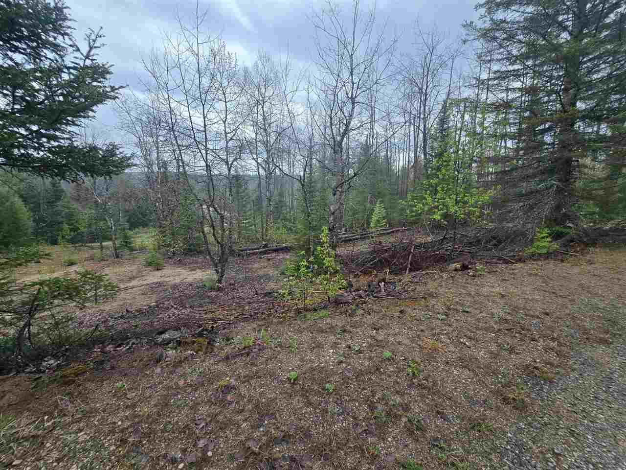 14453 W Shoreline Drive Wolverine MI 49799
