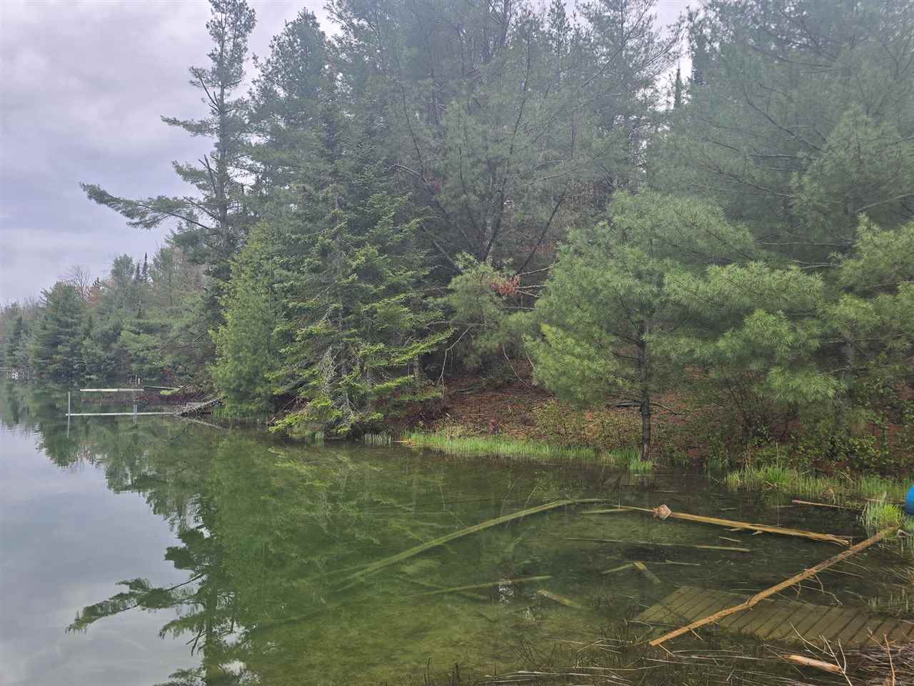 14453 W Shoreline Drive Wolverine MI 49799