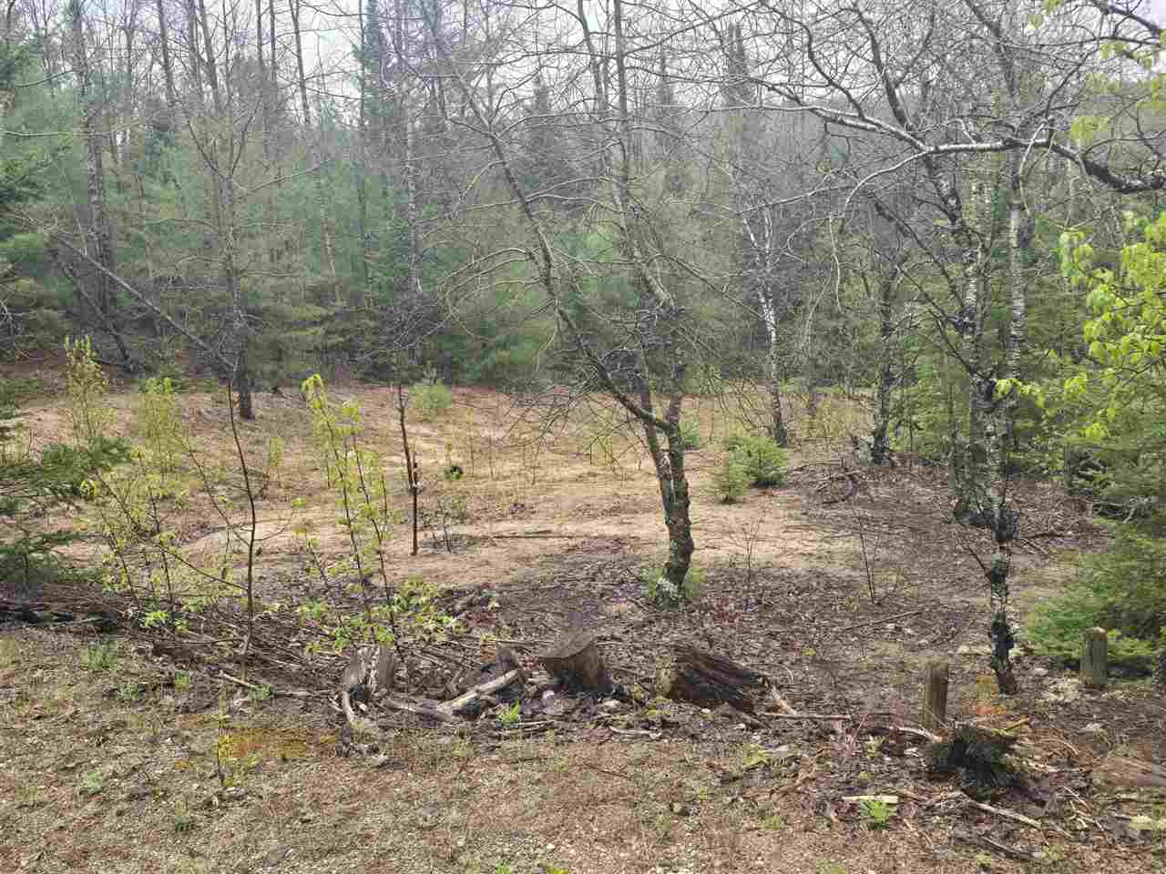 14453 W Shoreline Drive Wolverine MI 49799