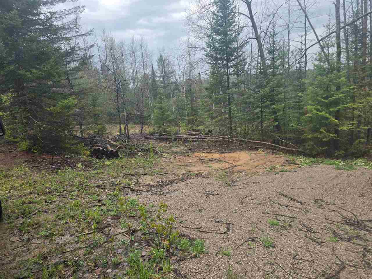 14453 W Shoreline Drive Wolverine MI 49799