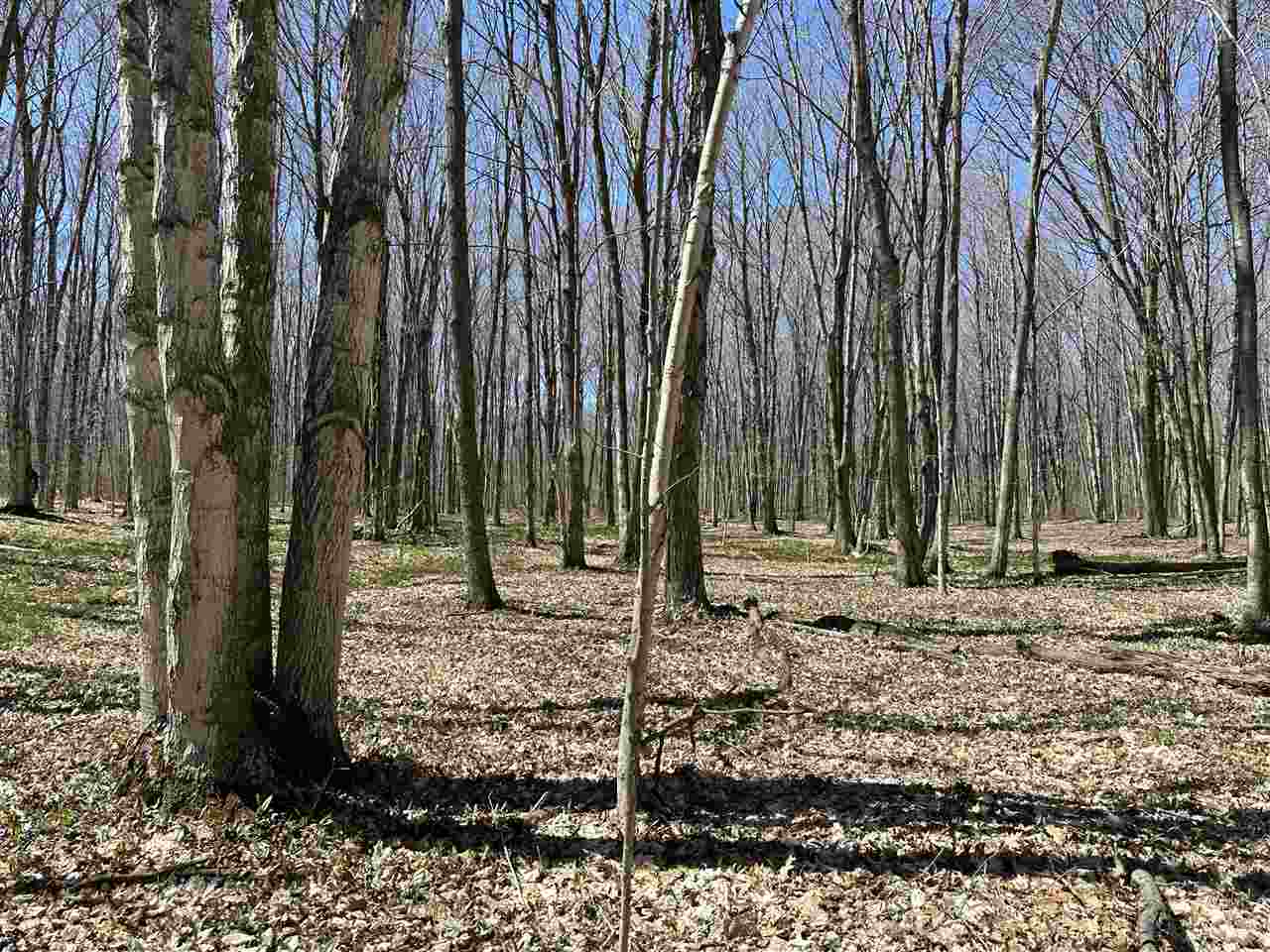 Tbd West Side Drive Beaver Island MI 49782