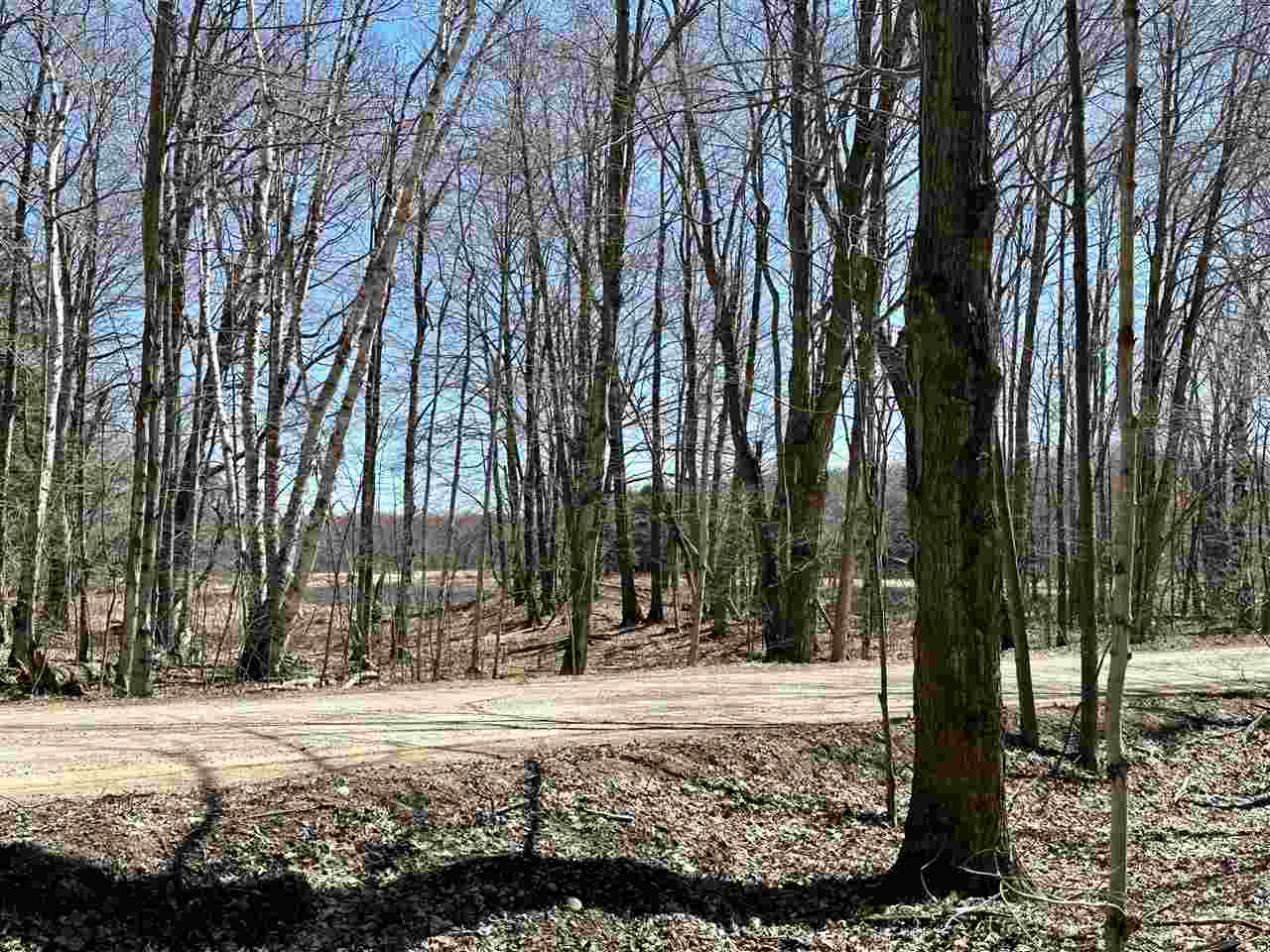 Tbd West Side Drive Beaver Island MI 49782